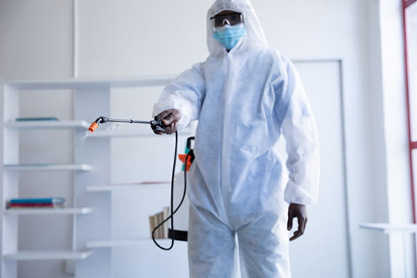 Servicios de control de cucarachas