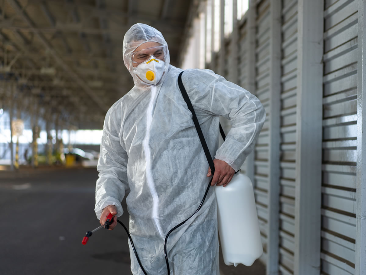 fumigacion-profesional para empresas